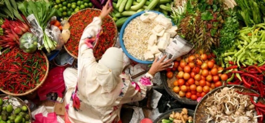 vegetales-mundo