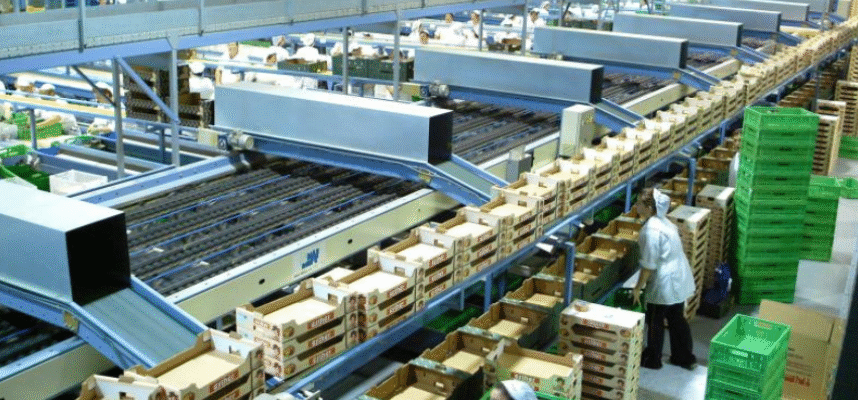 almacen-hortofruticola