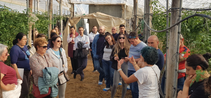 curso-coexphal-triodos