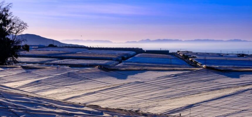 invernaderos