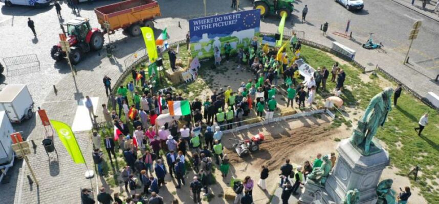 protesta-bruselas