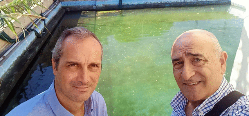 ual-embalses-riego
