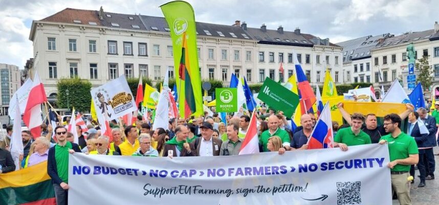 manifestacion-bruselas