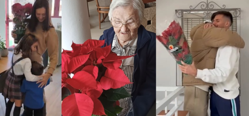 regala-flor-de-pascua-3