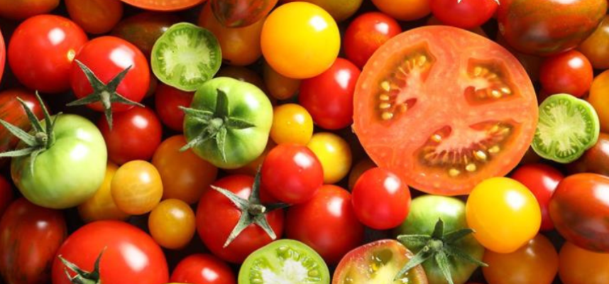 tomate (2)