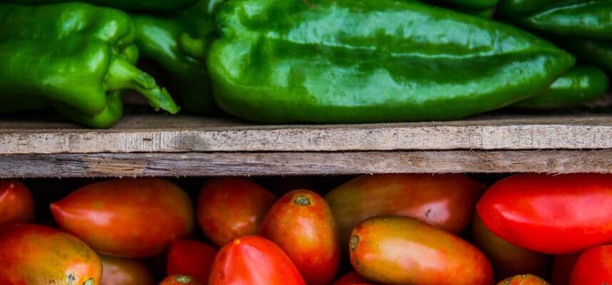 tomates-y-pimientos-1