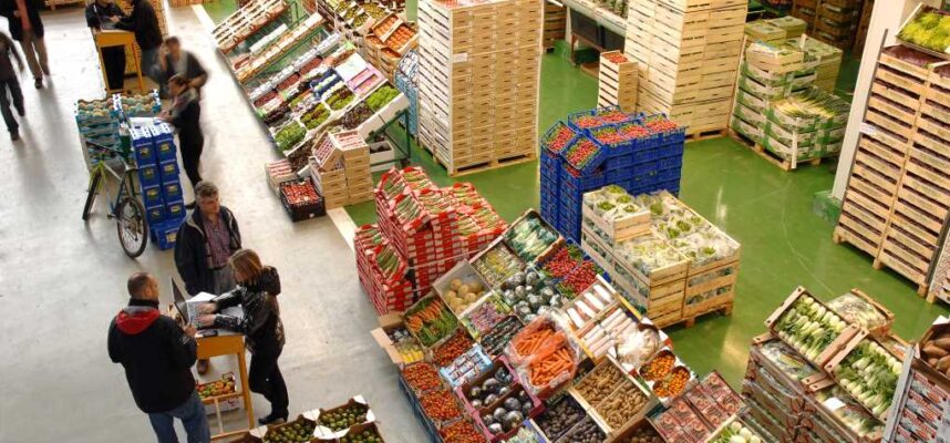 Sector-Frutas-y-Hortalizas-EmpresaExportadora-Mercabarna