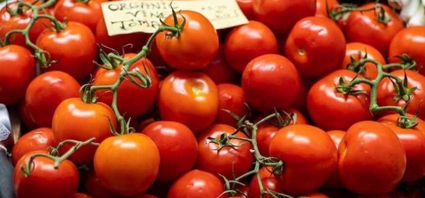Tomates_Mercado