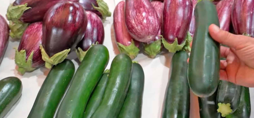 calabacin-cajamar