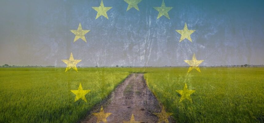 campo-europeo