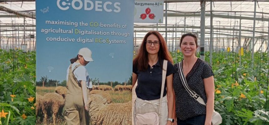 codecs