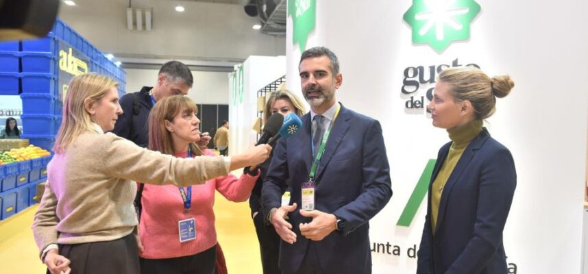 madrid-fusion