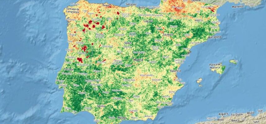 mapa-vegetacion