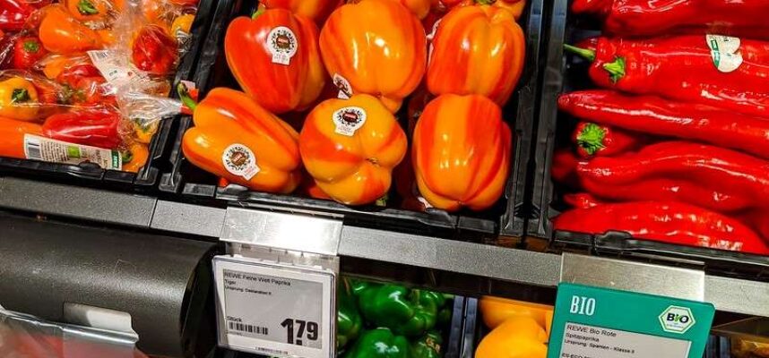 pimientos-en-Alemania-ok