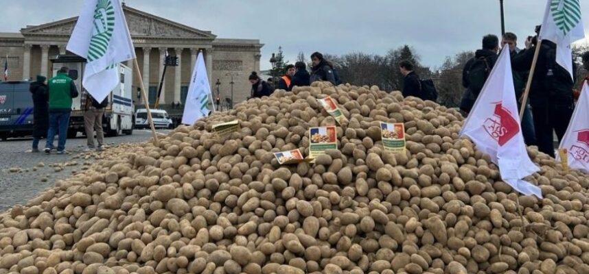 protesta-Francia