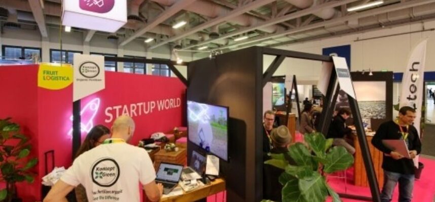 startup-world