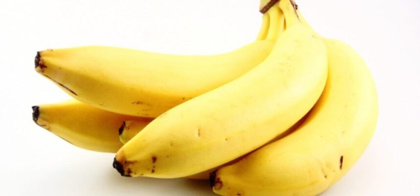 bananas-1170x600