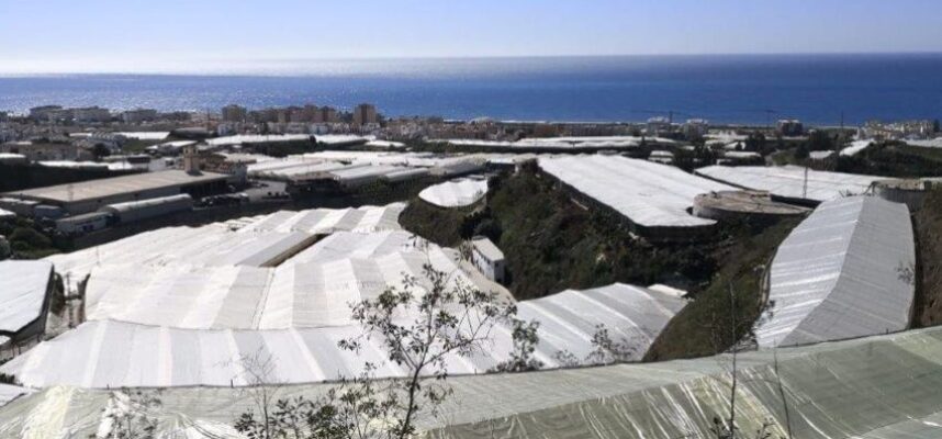 invernaderos