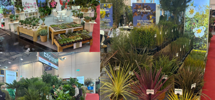 plantaespana-ipm-essen