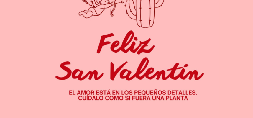 plantaespana