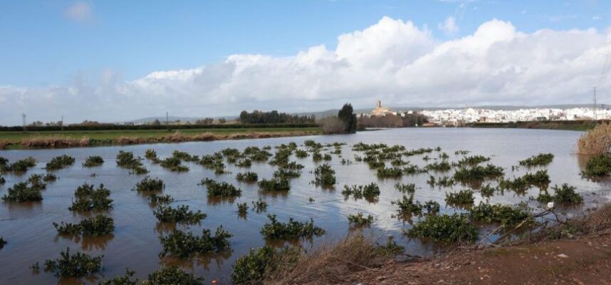 lluvias-Andalucia