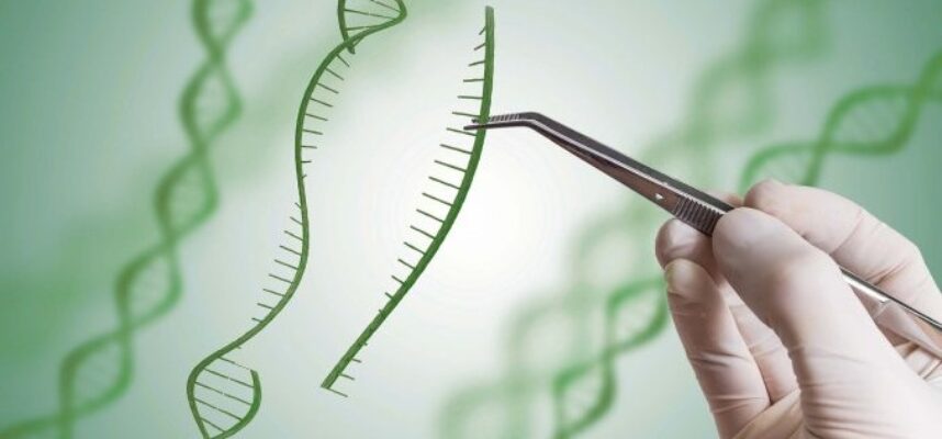 GenomeeditingOutLicensning