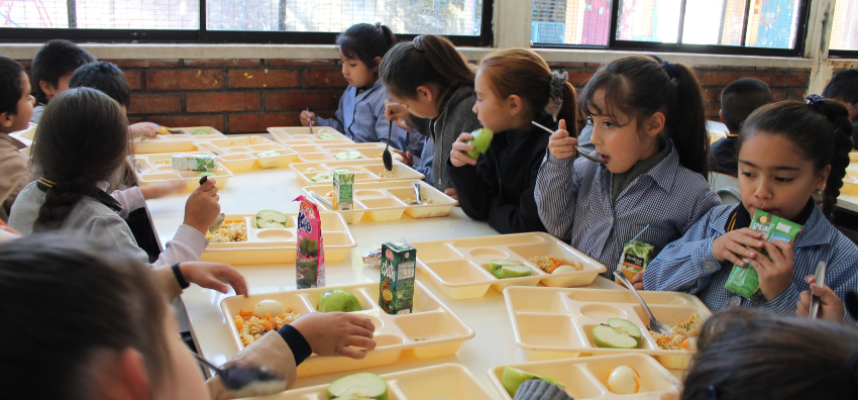 comedor-escolar-2