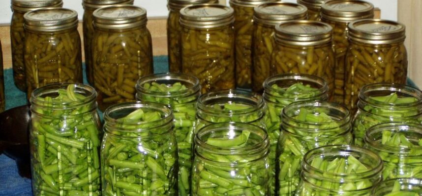 conserva-vegetal