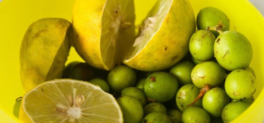 limones-uvas-aceitunas