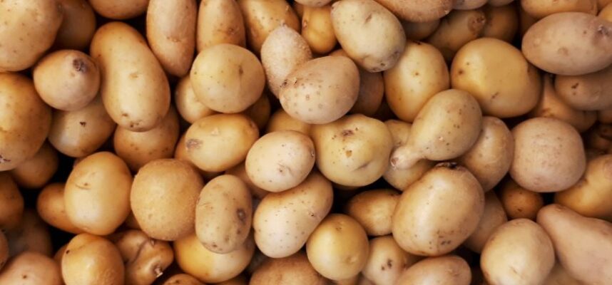 patatas