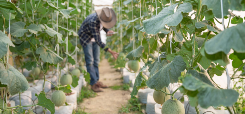 Joven-agricultor