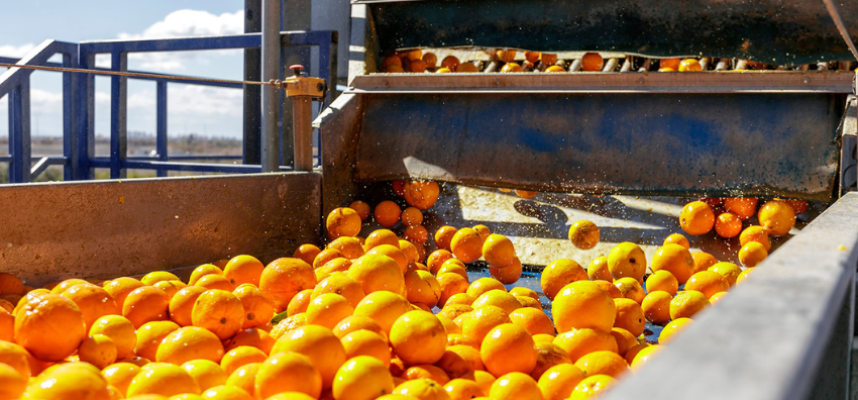 citricos-CGC