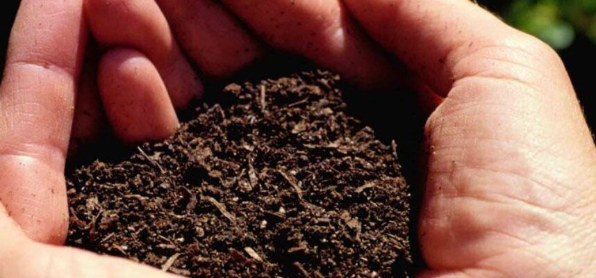 fertilizantes