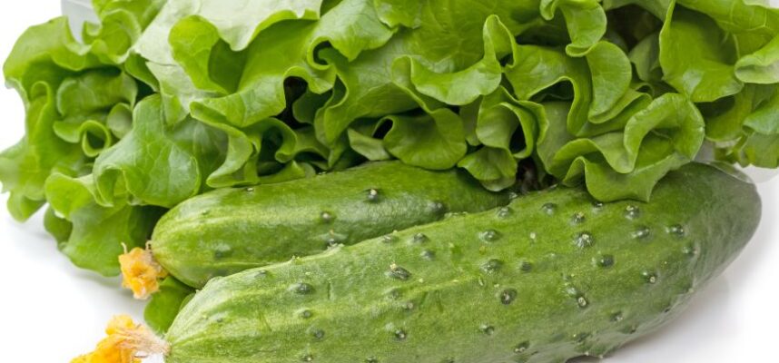 lechuga-y-pepino