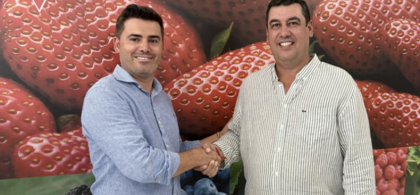 freshuelva