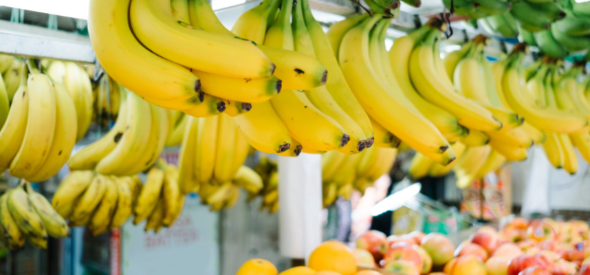 fruta-importacion