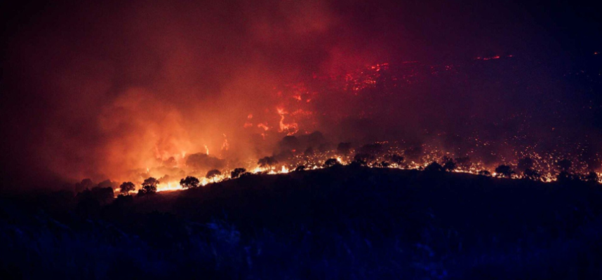 incendios-ingenieros-agronomos