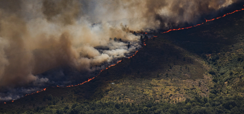incendios-upa