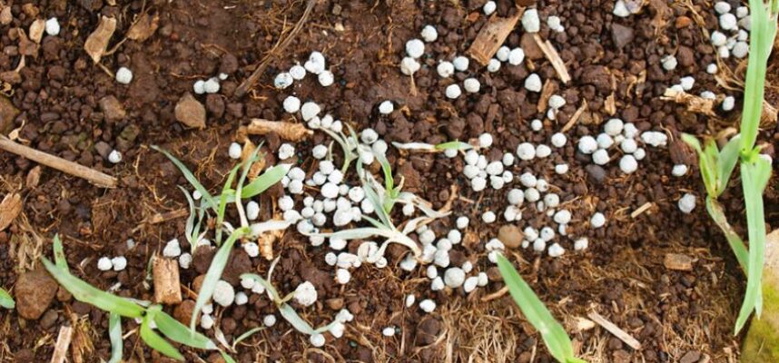 fertilizantes