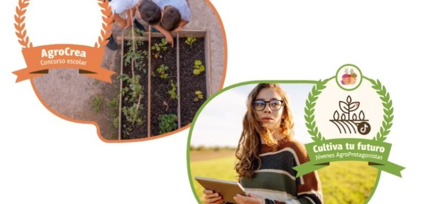 concursos-ministerio
