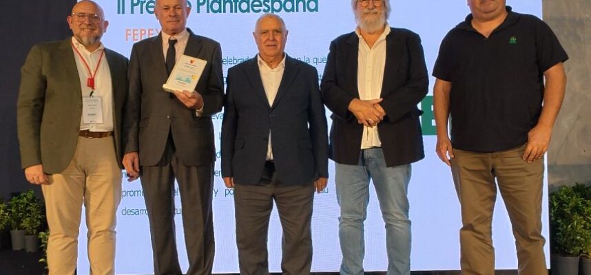 plantaespaña